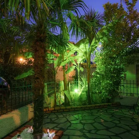 Apartment Shark Skala Potamia (Thasos)