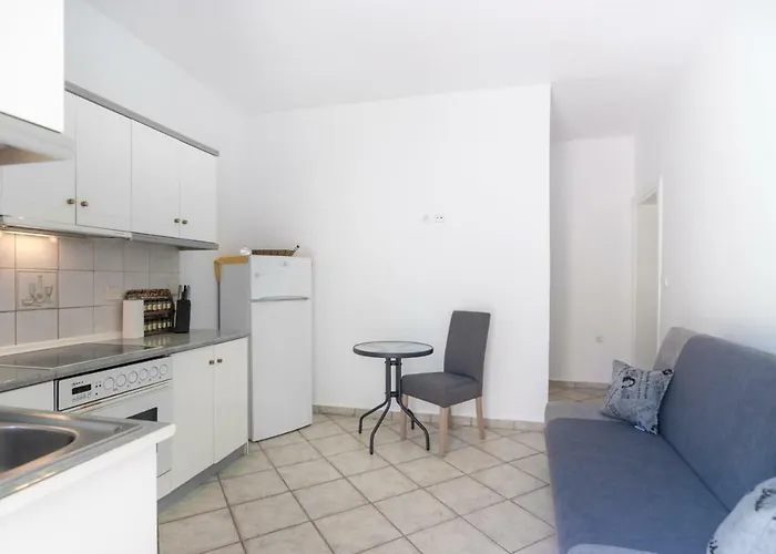 Shark Skala Potamia (Thasos)